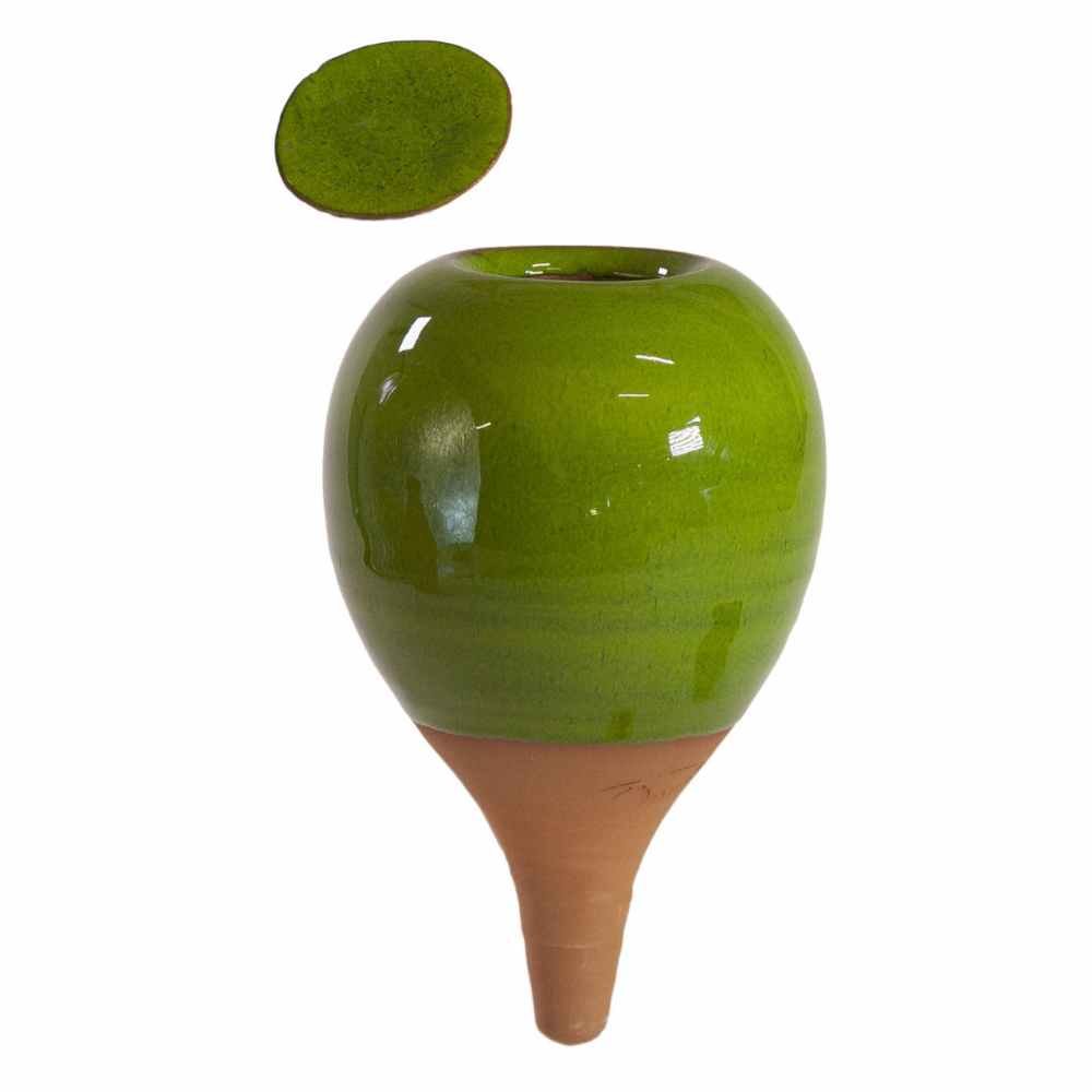 OYAS A PLANTER COLORIS VERT